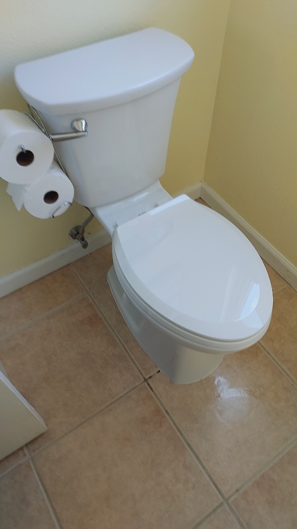 Pulled and reset toilet snake drain all cleared