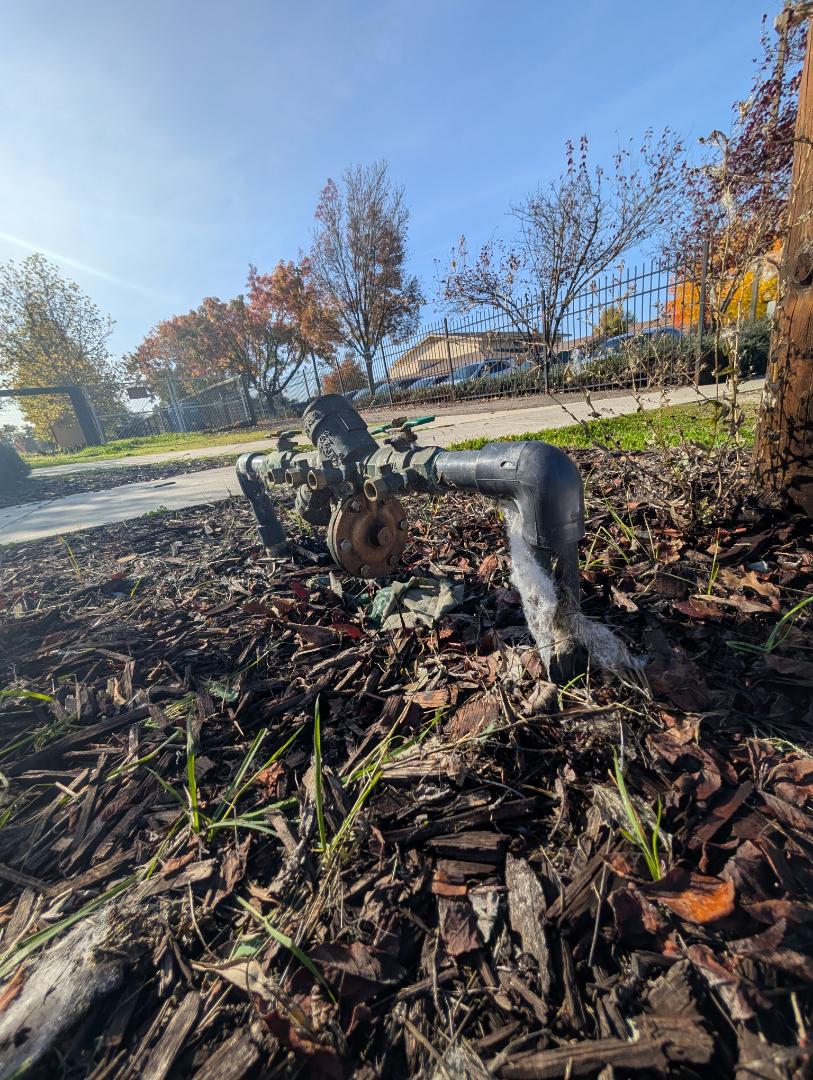 Repaired a leaking Wilkins 975xl RP backflow preventer assembly in Paso Robles at Sherwood Dog Park.