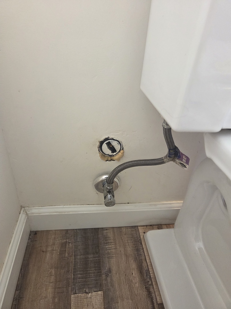 Snake toilet stoppage