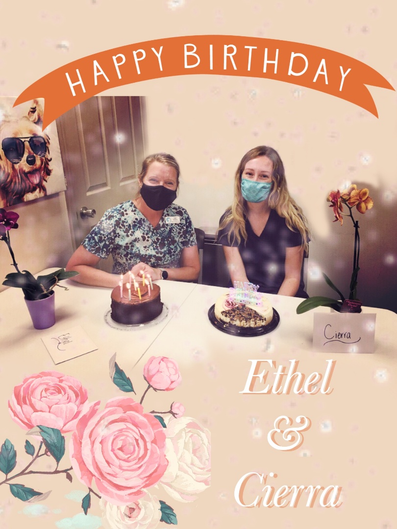 Wishing a belated birthday to both Ethel and Cierra! We all hope you both had a wonderful time celebrating another year!💜🎉🎂🌸 #birthday #birthdaycelebration #veterinarymedicine #vettechlife #pensacolaflorida #animalhospital #pethotel Wishing a belated birthday to both Ethel and Cierra! We all hope you both had a wonderful time celebrating another year!💜🎉🎂🌸 #birthday #birthdaycelebration #veterinarymedicine #vettechlife #pensacolaflorida #animalhospital #pethotel