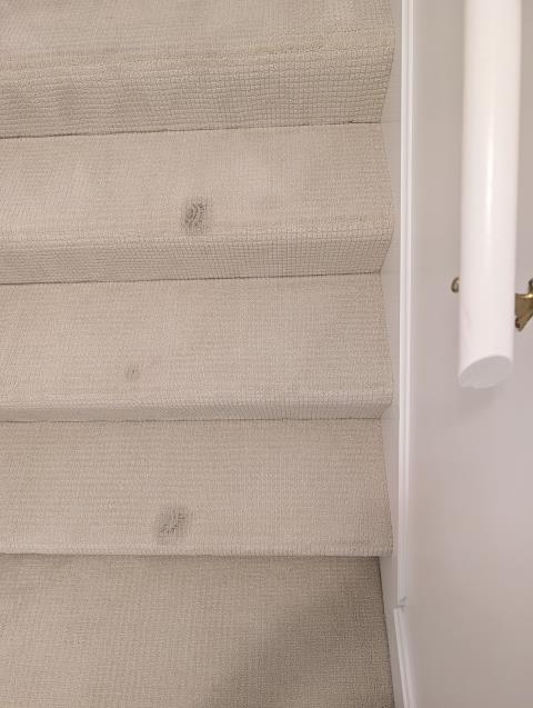 The Carpet Chemist tackled a paint spill on the stairs, restoring the carpet to its original, pristine condition. Our expert team ensured every stain was removed, leaving the area looking brand new.
Indian Hills Ky 