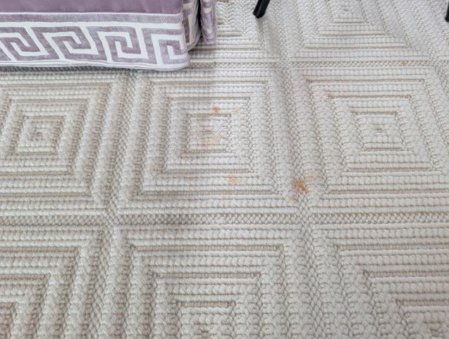 Cocktail sauce stain removal on a custom ivory wool rug at a home in Glenview, KY.