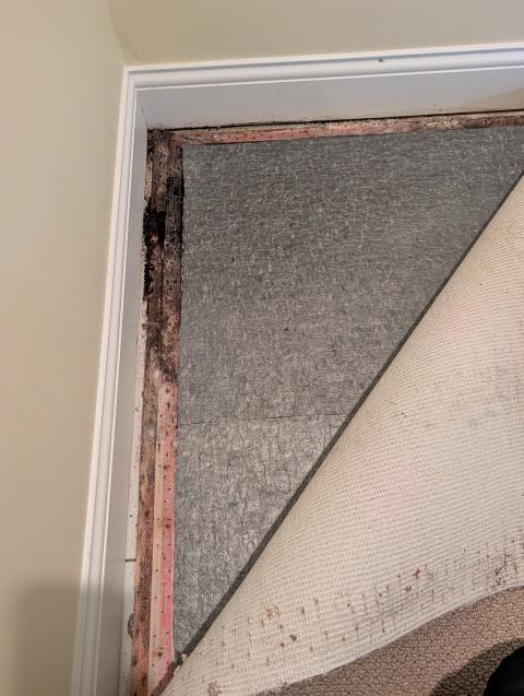 Part 1 of this Mold Removal Job: Water intrusion from leaky pipes or outside water damaged these tack strips, padding , and carpet section. Instead of replacing the carpet, step 1 was to remove the source of the mold, treat with an antimicrobial to prevent and kill mold, and dry the area out with our XPOWER Air Movers. Stay tuned for Part 2.