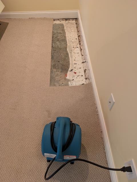 Part 1 of this Mold Removal Job: Water intrusion from leaky pipes or outside water damaged these tack strips, padding , and carpet section. Instead of replacing the carpet, step 1 was to remove the source of the mold, treat with an antimicrobial to prevent and kill mold, and dry the area out with our XPOWER Air Movers. Stay tuned for Part 2.