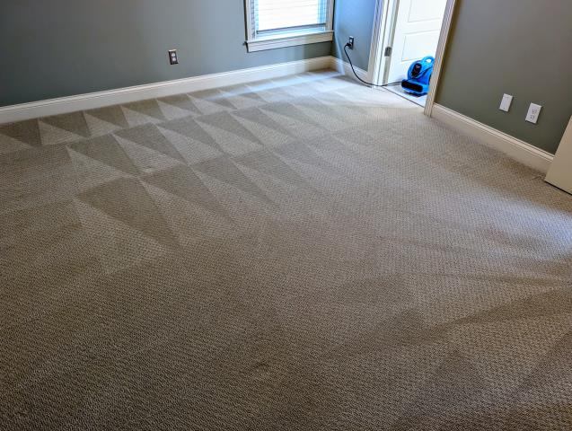 This was a fun little Norton Commons carpet stretching and cleaning job today. The results are impressive, with the carpet now looking fresh and revitalized.