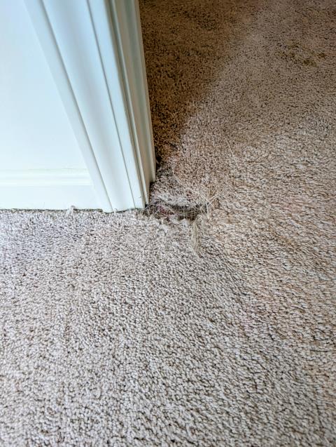We skillfully repaired a hole in the bedroom carpet caused by a playful dog. Our expert team saved the family thousands by restoring the damaged area instead of replacing the entire carpet. The Kool Glide seam iron and a few of our favorite Crain repair tools, and thousands of previous repairs, made this one seem like a piece of cake. 