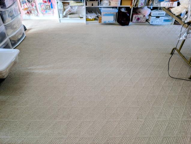 Tonya and Sean brightened up this carpet using a mild alkaline-based solution, and sanitizing rinse making it look as good as new.