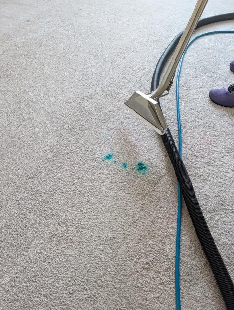 Lots of pet stains on this carpet in a house that is listed to sell. We treated the pet stains with a powerful enzyme solution and steam cleaned with a sanitizing rinse to flush out all contamination and cleaning solutions. We even post-treated with an oxidizing solution to ensure no color staining was left over from the pet stains. The carpets look spectacular! There were also a few ink stains we treated with a solvent and flushed out with our sanitizing rinse. 
