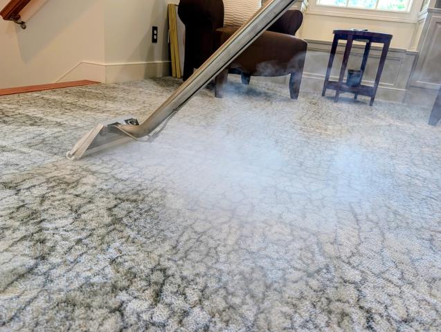 We cleaned the carpets for a repeat customer. which included specialty stain removal caused by spilled red drink, a few puppy stains, and soiling from regular everyday foot traffic. We removed every single stain and she was extremely pleased with the results!