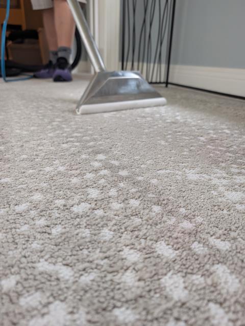 A recently installed carpet showed signs of wear in high-traffic areas. To address this, I used a mild alkaline-based cleaning solution, Spot pHixer, followed by steam cleaning with a 230-degree sanitizing solution. Post-cleaning, I applied a carpet protector to form a protective barrier, preventing future wear patterns. This thorough process ensured the carpet's longevity and appearance.