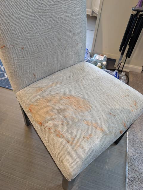 A customer contacted us about a pasta sauce spill on a dining room chair. We cleaned it thoroughly, restoring it to its original condition, saving it from being discarded.