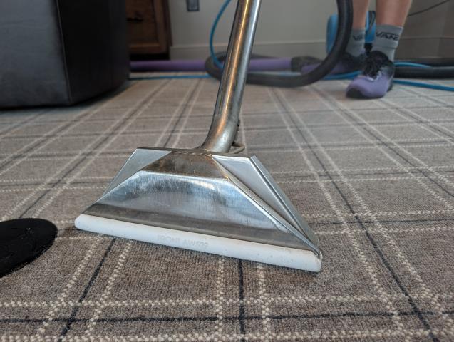 During the project, Brandon and Coby meticulously addressed a wood stain spill on a high-quality wool carpet. They began with a solvent pre-treatment to break down the stain. Using a horsehair brush, I gently agitated the area to aid in stain removal. After ensuring the stain was treated, I flushed the carpet thoroughly with a sanitizing rinse solution to eliminate any remaining residue, restoring the carpet to its original condition.