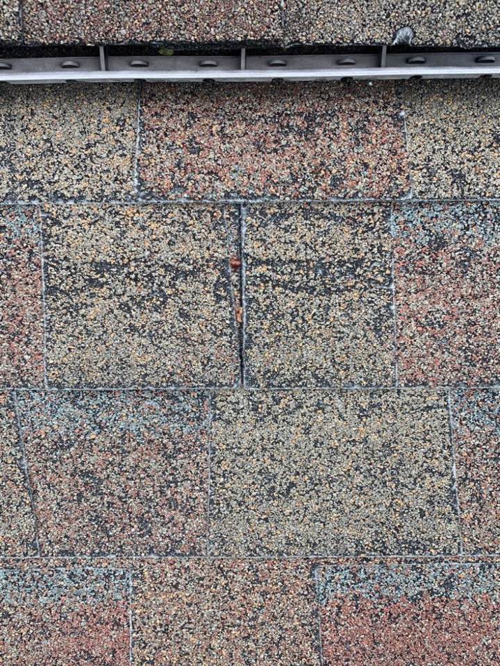 Wind-damaged shingle roof inspection in Springfield, Ohio. 