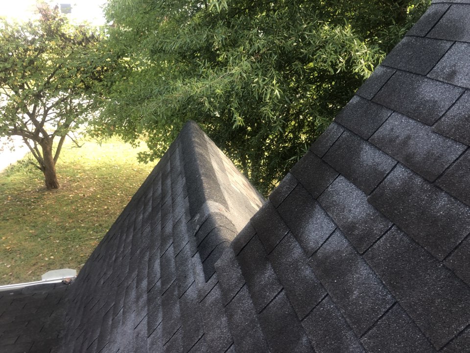 Inspecting a 16/12 pitch roof. Thankful it has a porch. Inspecting a 16/12 pitch roof. Thankful it has a porch.