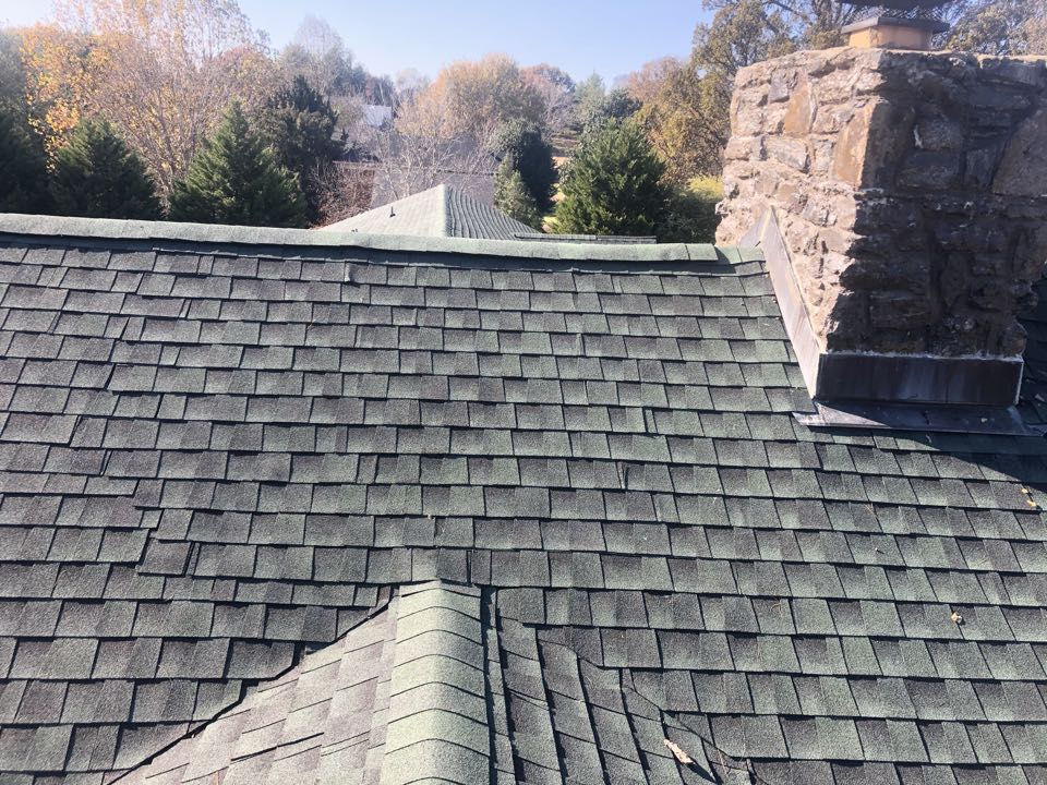 Green Roof Inspection in Brentwood. Green Roof Inspection in Brentwood.