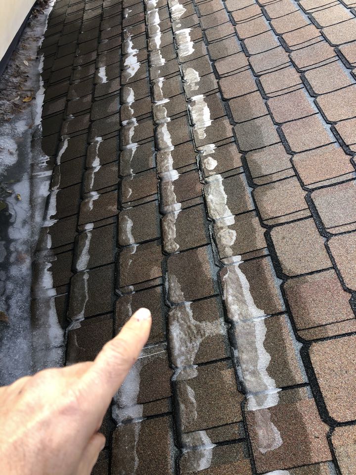Our first Notorious ice damn leak this year Our first Notorious ice damn leak this year