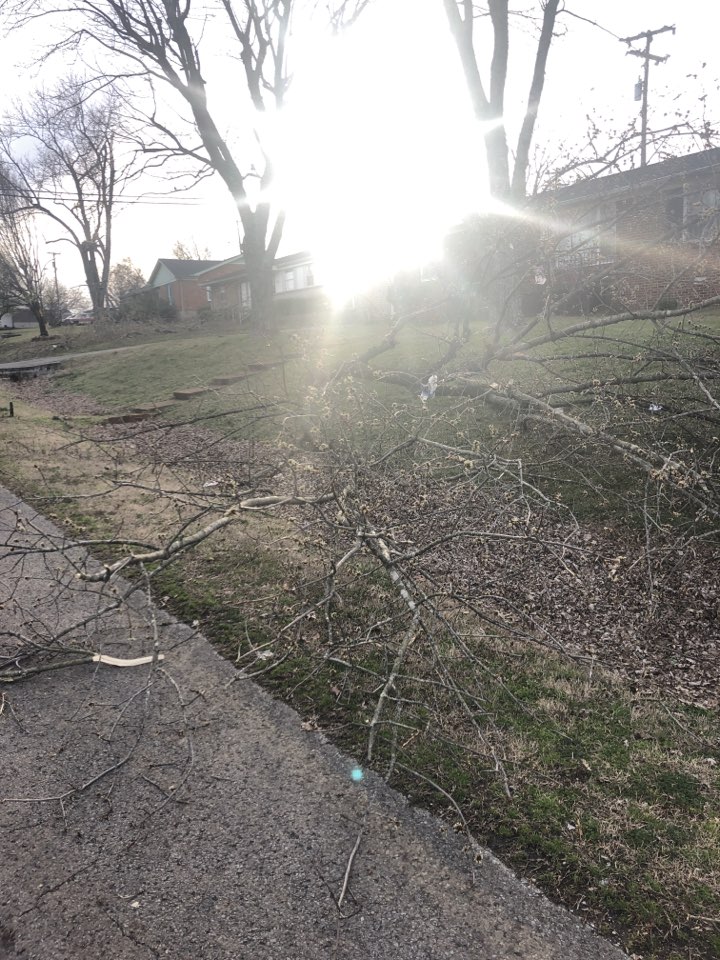 The more we walk the more damage we find. Roofing shingles and branches all over the neighborhoods The more we walk the more damage we find. Roofing shingles and branches all over the neighborhoods