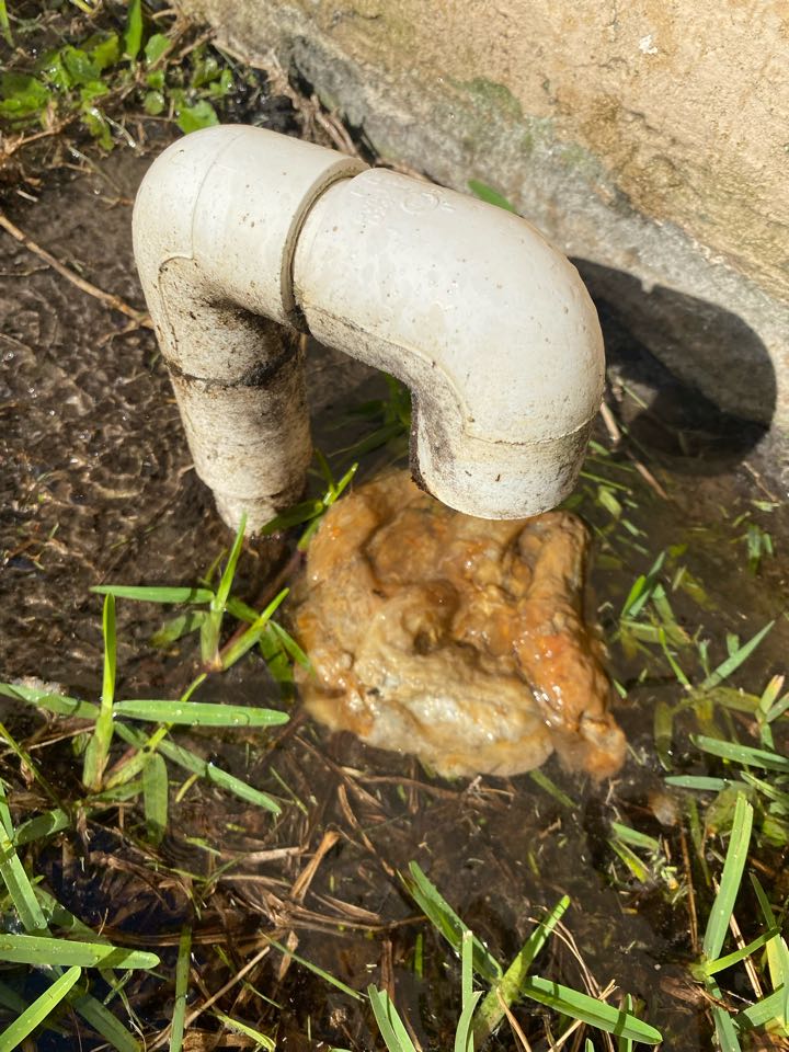 Performing quarterly Maintance on rheem units Performing quarterly Maintance on rheem units