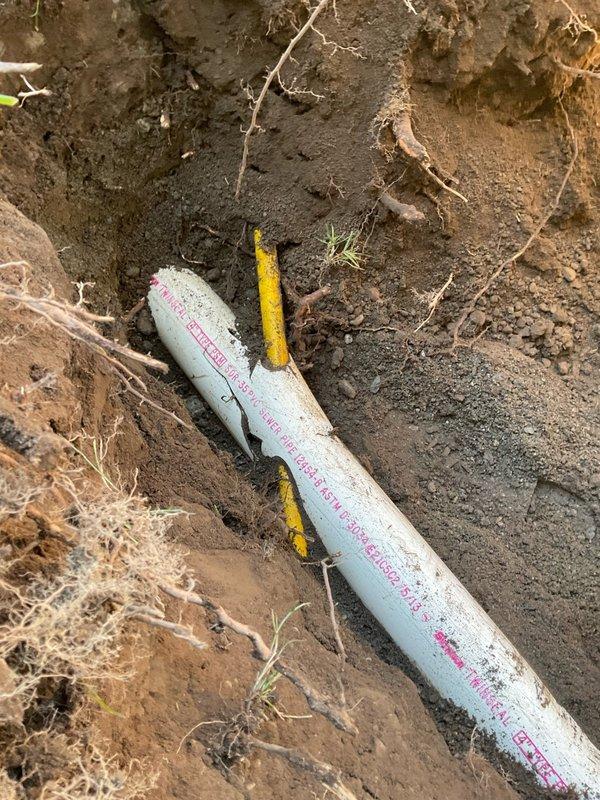 Completed sewer scope inspection of residential property with utility lines marked for excavation. Documentation captured existing conditions including exposed PVC sewer line during excavation work, with proper identification markings visible on pipe. Photographic evidence collected showing pre-work site conditions and active excavation revealing main sewer line routing through backyard area.