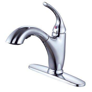 Completed diagnostic assessment of plumbing fixtures per estimate specifications. Documented existing two-piece white porcelain toilet with chrome flush lever and single-handle chrome kitchen/bathroom faucet with curved spout and deck plate mounting. Photographed all fixtures for scope verification and customer records.