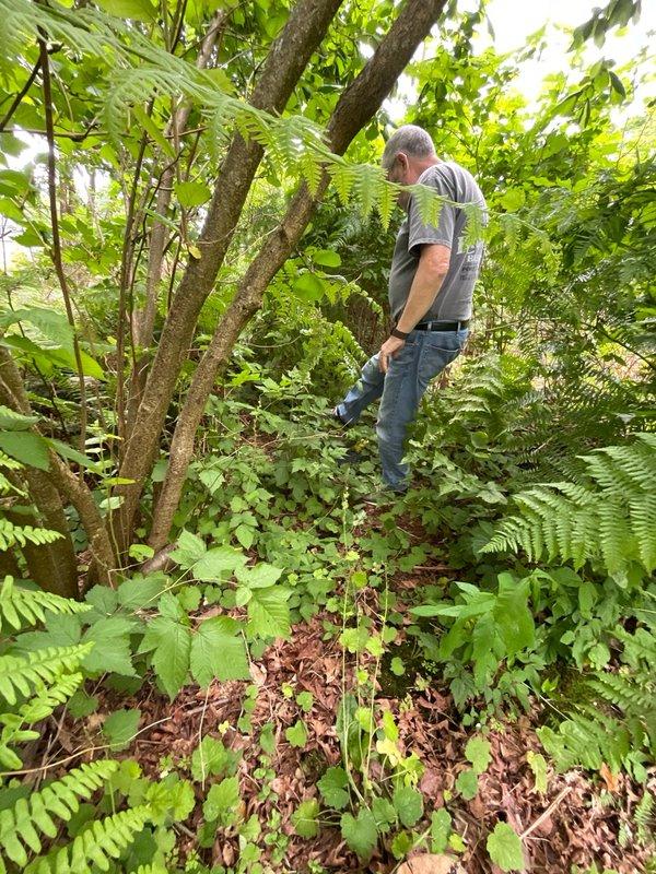 Conducted on-site diagnostic evaluation for garden hydrant installation request on densely wooded private property. Assessed two potential installation locations along gravel pathway surrounded by mature trees, ferns, and heavy vegetation. Documented existing site conditions, underground utility considerations, and accessibility factors for future hydrant placement and water line routing through forested terrain.