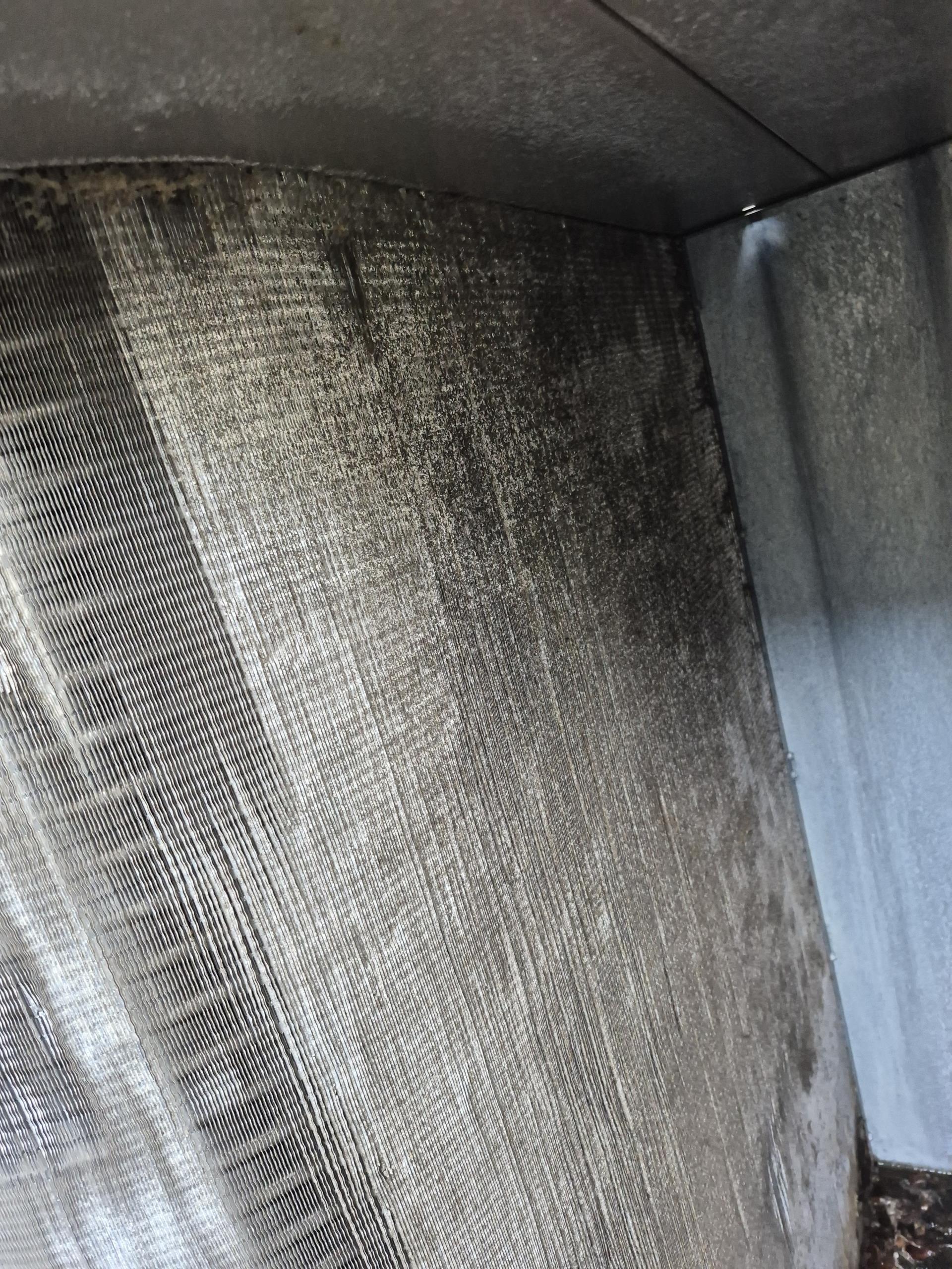 Teaneck, NJ - Arrived on site for a frozen condenser. Upon arrival condenser was still running and frozen. Manager then proceeded to tell me that the other condenser has not been running, claims it hasn't been running for over a year. Check both split systems inside the store the one that is connected with the Frozen condenser was frozen inside, lines that was frozen. P-trap was pretty dirty, blew it out. Access to water was given, washed both split condensers and compact unit. The condenser that was not on, the air handler that is connected to it was on/ has power. Was going to diagnose the condenser but water from hose Whispering directly onto the electrical panel. Have to come back to check pressures on frozen unit, left unit fan on but no call for cooling. Teaneck, NJ - Arrived on site for a frozen condenser. Upon arrival condenser was still running and frozen. Manager then proceeded to tell me that the other condenser has not been running, claims it hasn't been running for over a year. Check both split systems inside the store the one that is connected with the Frozen condenser was frozen inside, lines that was frozen. P-trap was pretty dirty, blew it out. Access to water was given, washed both split condensers and compact unit. The condenser that was not on, the air handler that is connected to it was on/ has power. Was going to diagnose the condenser but water from hose Whispering directly onto the electrical panel. Have to come back to check pressures on frozen unit, left unit fan on but no call for cooling.