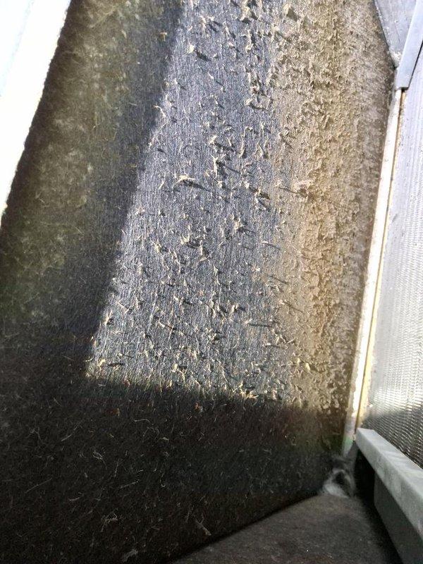 Responded to no cooling complaint with reported musty odor resembling rotten water or possible mold. Upon inspection, found severely clogged air filter with heavy accumulation of dust, debris, and particulate matter restricting airflow throughout the system. Interior ductwork and air handler components showed significant dust buildup and contamination. Documented conditions with photographs and recommended immediate filter replacement and duct system evaluation for potential mold remediation and venting replacement to restore proper system operation and indoor air quality.