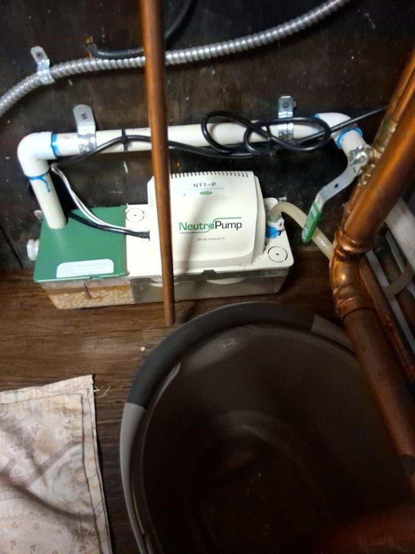 Responded to no hot water call with error code displaying on boiler. Upon arrival, inspected the heating system and identified issues with the boiler operation. Photographed the existing plumbing configuration, including the NeutraPump condensate removal system with PVC drainage connections, copper supply lines, and electrical connections. Also documented the pressure regulator assembly with brass valve body, red adjustment controls, and associated copper piping network. Troubleshot the error code, performed necessary diagnostics on the boiler and related components, and restored hot water service to the property.