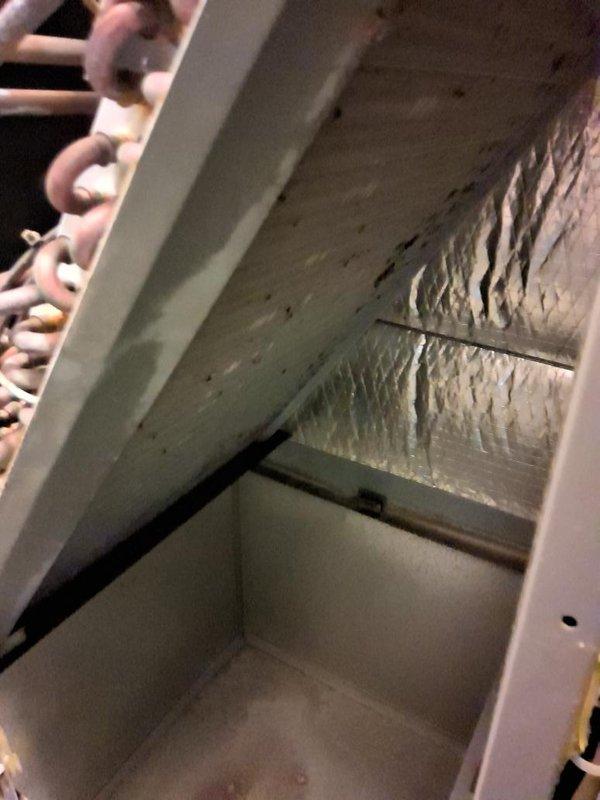 Completed seasonal maintenance inspection on residential air conditioning system. Performed comprehensive tune-up including inspection of electrical connections, wiring, and control cabinet components, verifying all wire nuts and terminal blocks were secure. Accessed attic-mounted equipment, inspected insulation clearances around unit, and confirmed proper installation conditions with adequate ventilation and thermal protection in place.