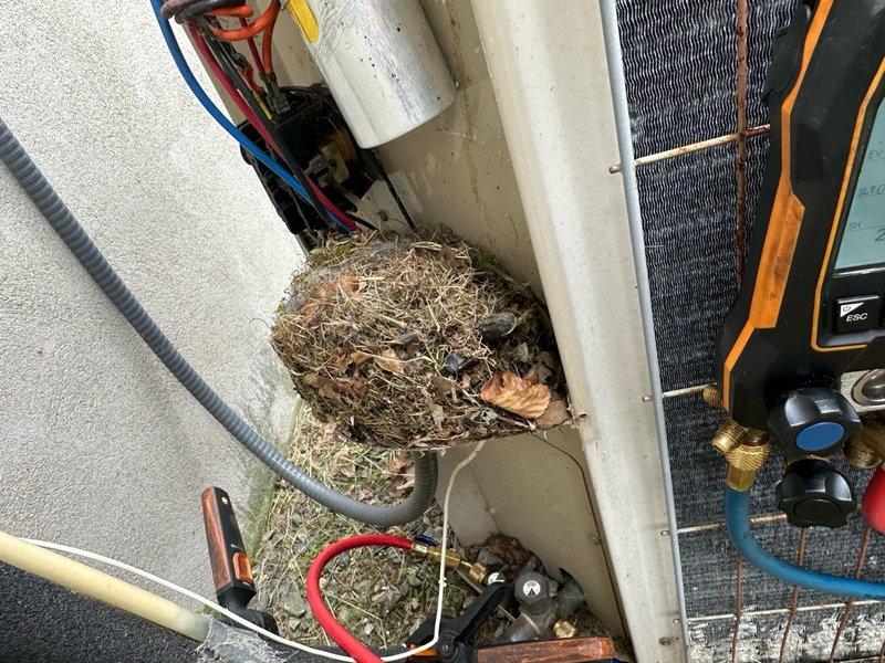 Completed seasonal maintenance on two air conditioning systems. First unit exhibited severe coil corrosion with extensive oxidation on copper tubing showing multiple colors of patina, indicating prolonged moisture exposure and chemical degradation. Second unit contained substantial accumulation of organic debris including grass, leaves, and nesting material that was removed from the interior housing. Both systems were inspected, cleaned, and serviced per manufacturer specifications to restore proper operation.