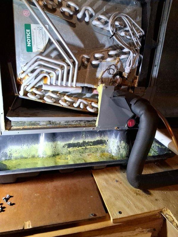 Responded to service call for condensate drainage system issues. Upon inspection, discovered severely cracked emergency drain pan beneath evaporator coil with extensive biological growth, algae accumulation, and standing water contamination throughout the pan surface. The existing drain trap showed signs of age-related deterioration and improper configuration. Removed and replaced the damaged emergency drain pan with new unit to prevent potential water damage and system failure. Installed upgraded condensate drain trap with proper P-trap configuration using PVC piping to ensure adequate water seal and prevent airflow issues. Applied purple primer and solvent cement to all pipe joints per code requirements. Verified proper drainage flow and trap seal operation upon completion. Cleaned work area and removed all debris. System tested and operating within normal parameters with no leaks detected.