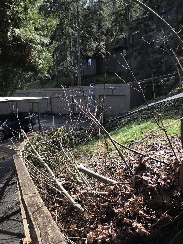 Eugene, OR - When nature calls our customer know who they can trust! Give Ben a call in Eugene 541-844-5946 Eugene, OR - When nature calls our customer know who they can trust! Give Ben a call in Eugene 541-844-5946