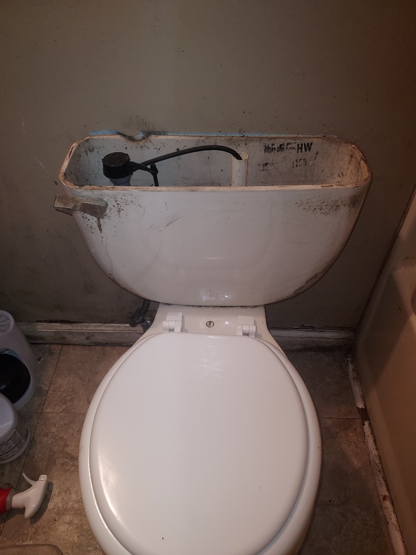 Plumber changing toilet