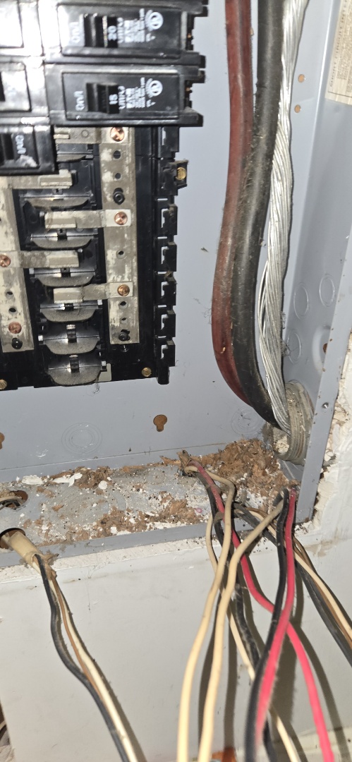 Electrician, given a free electrical estimate for panel replacement