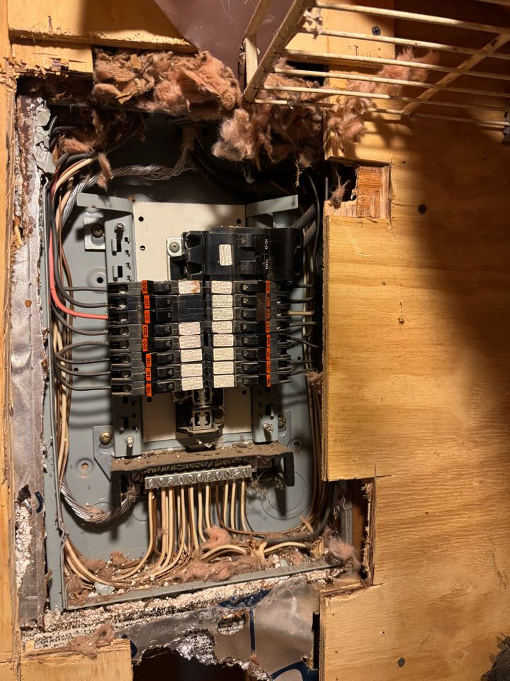 Electrician replacing Panel