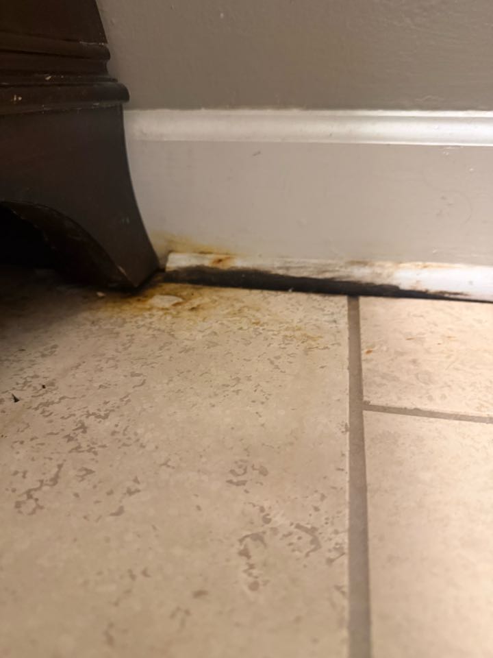 Visited a customer’s home today to investigate a bathroom leak. Performed a thorough inspection of the plumbing fixtures, supply lines, and surrounding areas to identify the source of the moisture. Providing solutions to prevent further water damage and ensure the bathroom is safe and fully functional.”