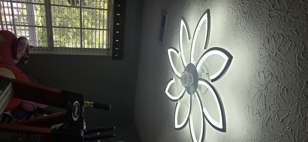 Checking in here in Rome, GA, installing a new ceiling fan for a homeowner. Ensuring safe wiring and a smooth, reliable installation.?

