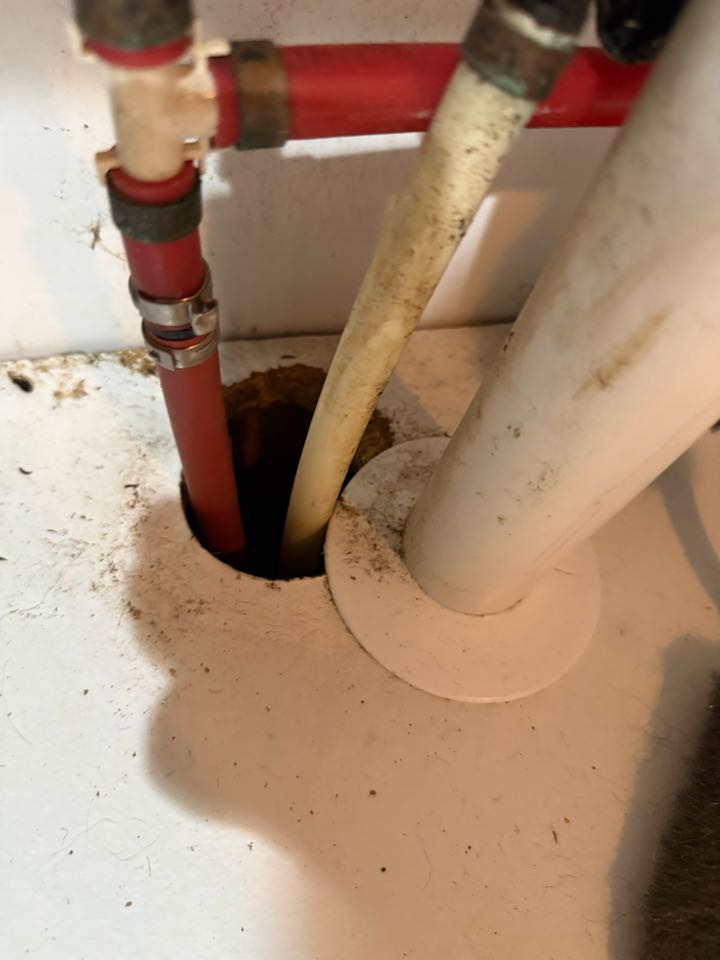 Came out to a service call for a ruptured water line underneath the kitchen sink that was causing active leaking and water damage concerns. Inspected the plumbing, shut off the water supply, removed the damaged section of pipe, and repaired the water line with proper fittings to restore full water service. Tested the repair to ensure there were no leaks and verified normal water pressure before leaving. Customer is back up and running with a safe, reliable kitchen plumbing system.