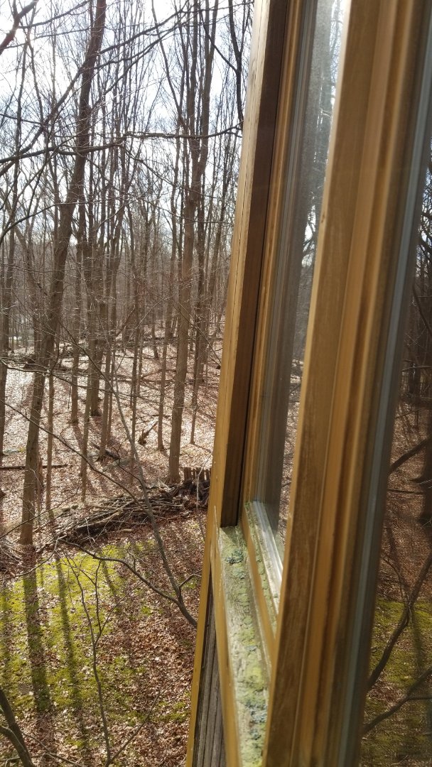 Boonton, NJ - Window inspection in Booton Township New Jersey Boonton, NJ - Window inspection in Booton Township New Jersey