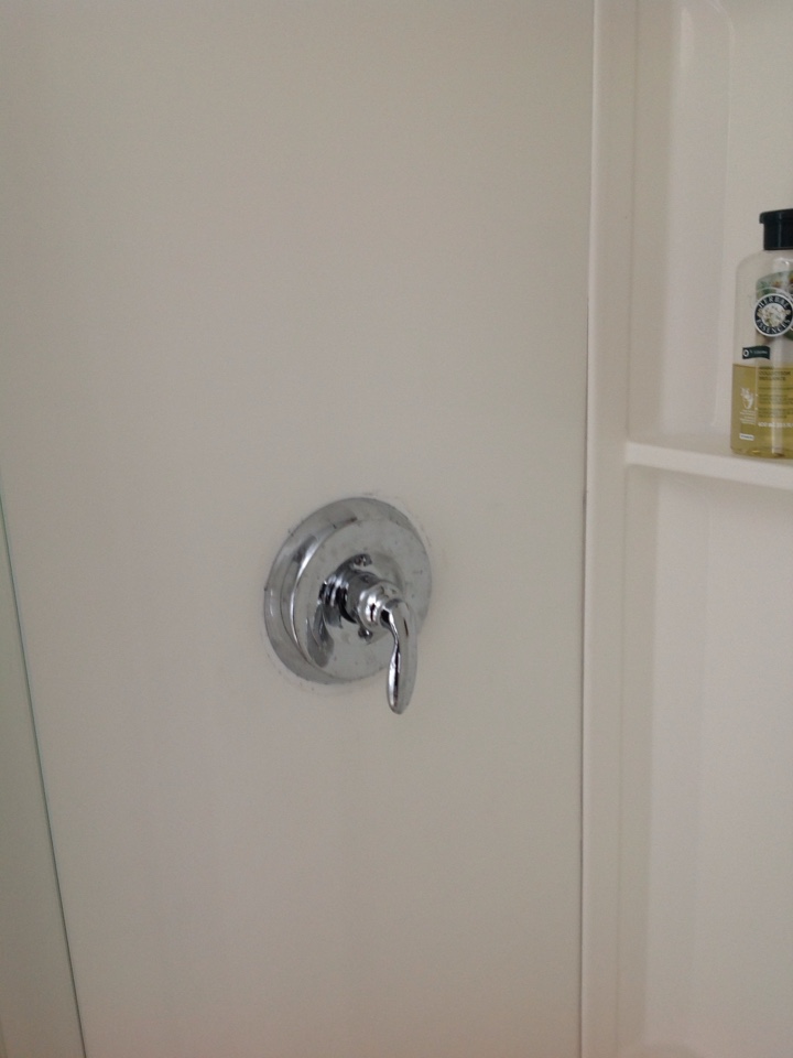Replace shower diverted and repair frozen heat pipe