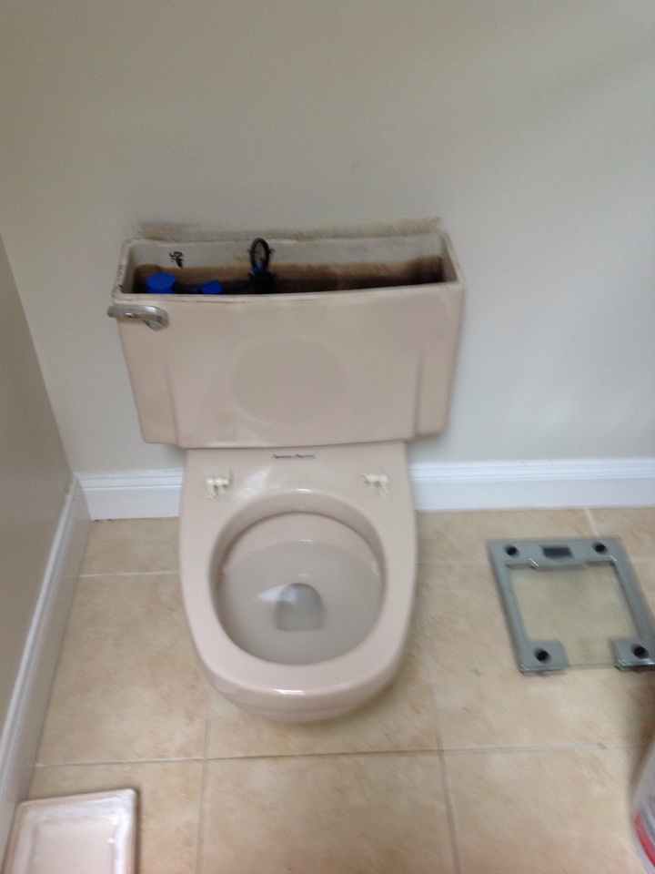 Replaced toilet seat. Replaced kitchen sink trap. Snaked tub drain. 