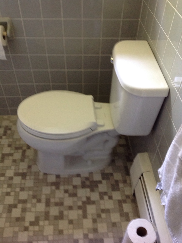 Replaced toilet and washer machine hoses. 