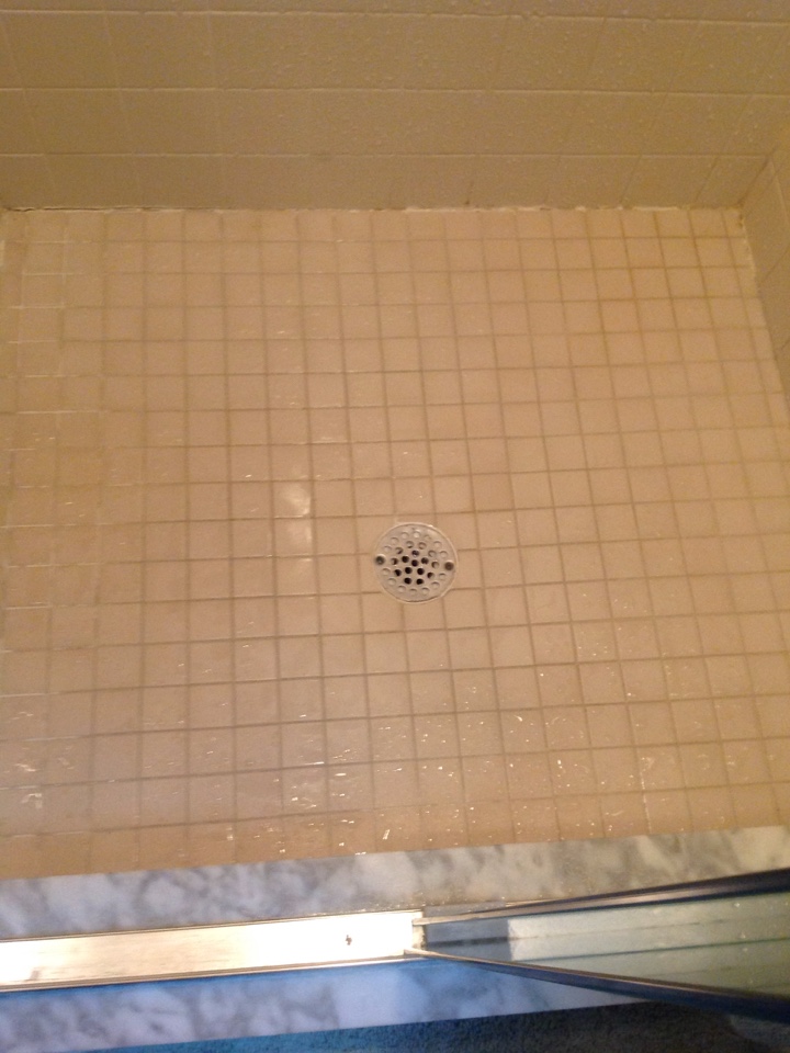 Snake master shower drain