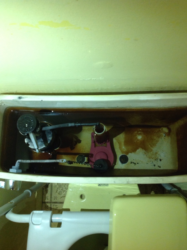 Repair American standard  toilet