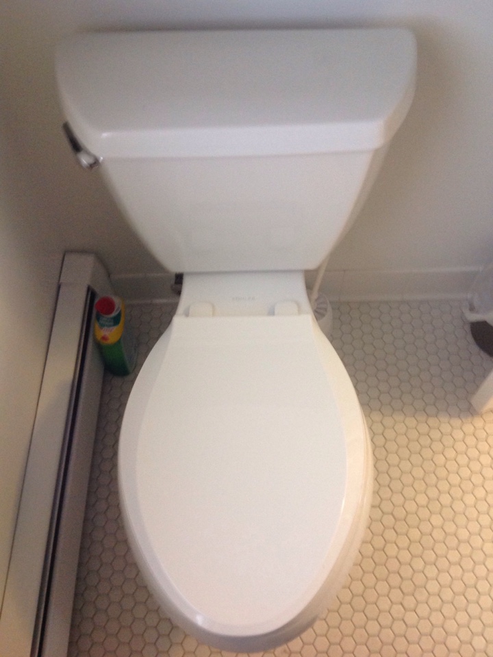 Replaced customer supplied toilet