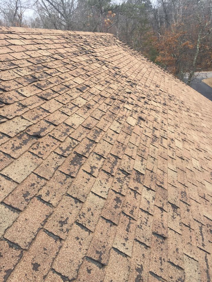 Merrifield, MN - Doing a estimate for new shingles in Merrifield, MN. Blistered shingles. Curling shingles. Time for a new GAF Timberline HD roof! Merrifield, MN - Doing a estimate for new shingles in Merrifield, MN. Blistered shingles. Curling shingles. Time for a new GAF Timberline HD roof!