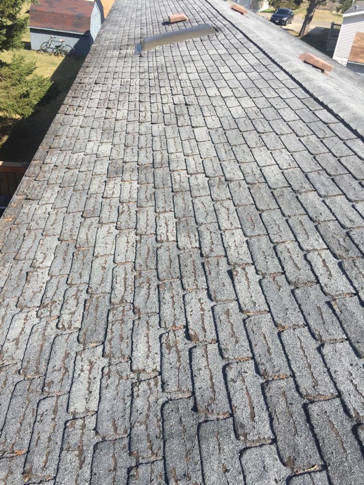 Pequot Lakes, MN - Doing a roofing estimate in Pequot Lakes, MN. Curled and blistered shingles. New GAF Timberline HD shingles are needed! Pequot Lakes, MN - Doing a roofing estimate in Pequot Lakes, MN. Curled and blistered shingles. New GAF Timberline HD shingles are needed!