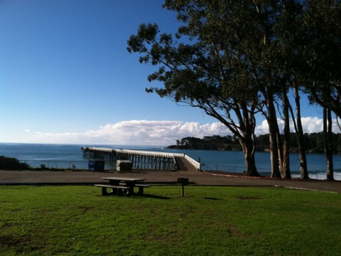 Near Hearst Castle on a perfect day to be alive!
