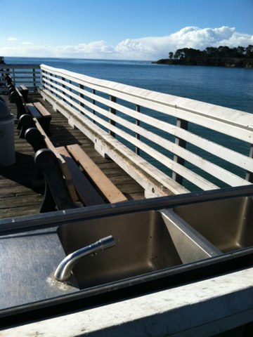 Plumbing in paradise!