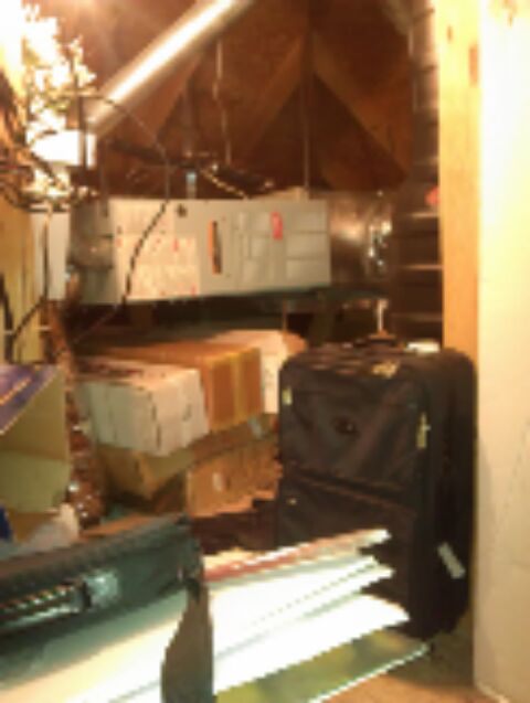 fall check up on 2 carrier heating systems. chkd all safety switches, heat exchanger. All ok for winter.